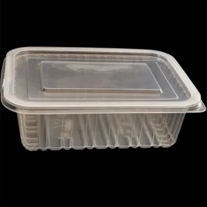 Cont - 5 (7x9 3part Container With Lid) 