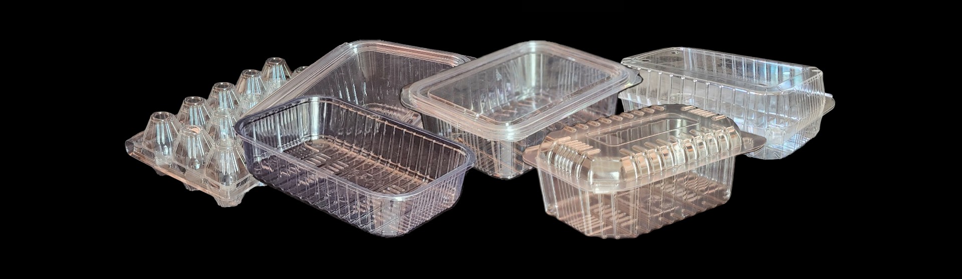 Pet Cat Header Banner 1